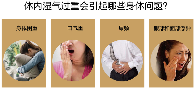 ʪص֢״