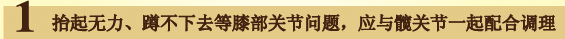 抬起无力、蹲不下去等膝部关节问题，应与髋关节一起配合调理